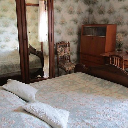 Chambre Salle De Bains Privee Jardin Arbore Montpellier Dış mekan fotoğraf